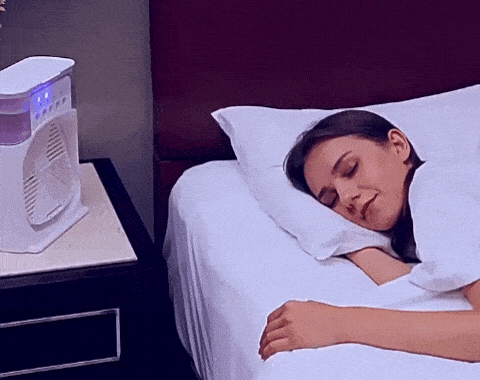 Cera de abelha BeeWax® para Polimento de Madeiras e Combate de Cupins - PAGUE 1 LEVE 2